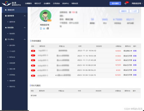 2024最新程序員搞錢平臺(tái)盤點(diǎn)