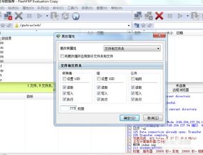 飛飛cms如何安裝