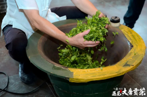 品讀茶香古韻,暢享美好生活!當大唐財富遇見大唐貢茶 品讀茶香古韻,暢享美好生活!當大唐財富遇見大唐貢茶
